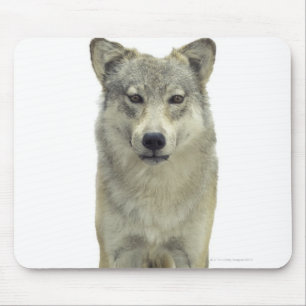 Een wolf muismat