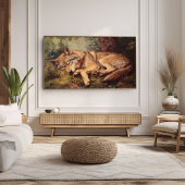 Een Wolf Slapend In Het Bos Poster