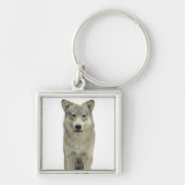 Een wolf sleutelhanger (Voorkant)