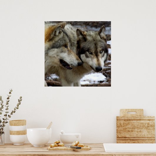 Een Wolfgesprek Poster (Keuken)