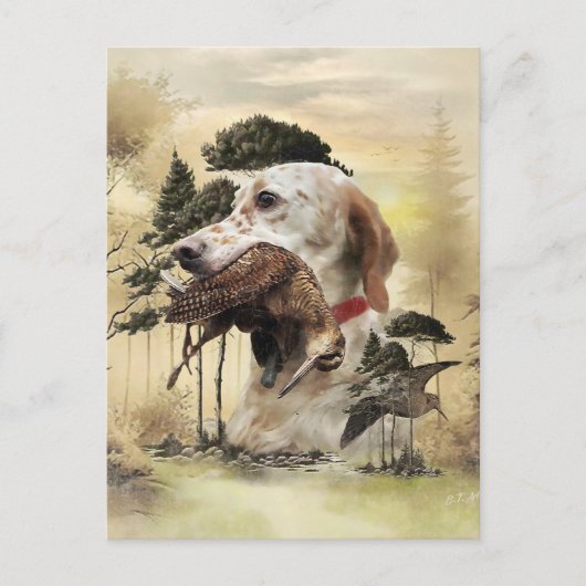 Een Woodcock met de Engelse setter Briefkaart (Voorkant)