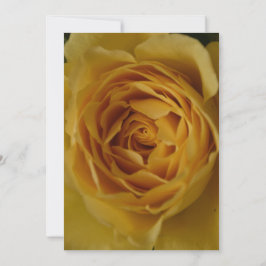 Een Yellow Rose 50e verjaardag uitnodiging