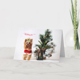 EEN YORKIE KERST KAART VOOR IEDEREEN