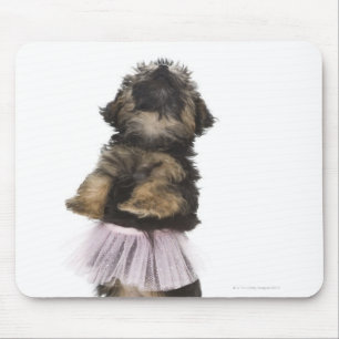 Een Yorkie-poopuppy in een tutu op haar achterpote Muismat