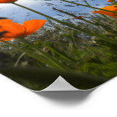 Een zachte antwoorddraaisel op de weg... poster (Hoek)