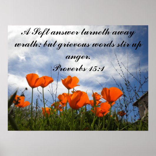 Een zachte antwoorddraaisel op de weg... poster (Voorkant)