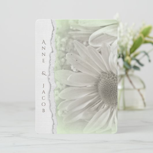 een zachte groene tint met een verscheurde papiere kaart (Staand voorkant)