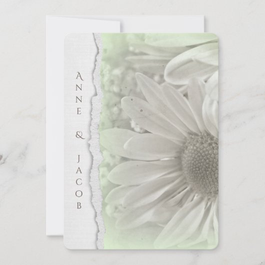 een zachte groene tint met een verscheurde papiere kaart (Voorkant)