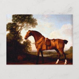 Een Zadelbajager van George Stubbs Briefkaart