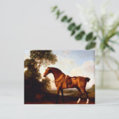 Een Zadelbajager van George Stubbs Briefkaart (Staand voorkant)
