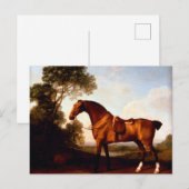 Een Zadelbajager van George Stubbs Briefkaart (Voorkant / Achterkant)