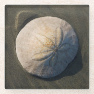 Een zanddollar op het strand glazen onderzetter