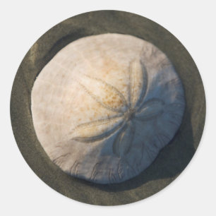Een zanddollar op het strand ronde sticker