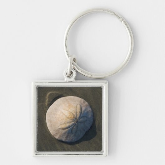 Een zanddollar op het strand sleutelhanger (Voorkant)