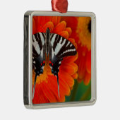 Een Zebra Swallowtail Vlinder Metalen Ornament (Rechts)