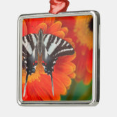 Een Zebra Swallowtail Vlinder Metalen Ornament (Links)