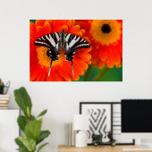 Een Zebra-swallowtail-vlinder Poster (Thuiskantoor)