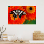 Een Zebra-swallowtail-vlinder Poster (Keuken)