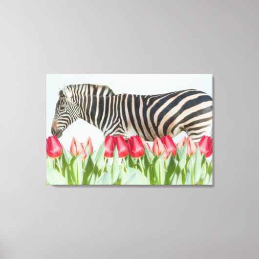 Een Zebra van de Tulpen Canvas Afdruk (Voorkant)