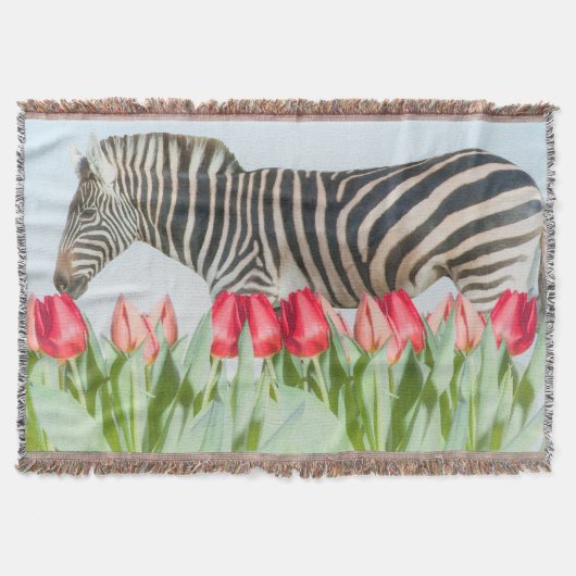 Een Zebra van de Tulpen Deken (Voorkant)
