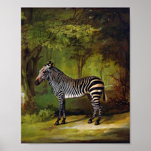 Een Zebra van George Stubbs Poster (Voorkant)