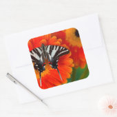 Een zebra zwaluwstaartvlinder vierkante sticker (Envelop)