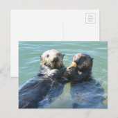 Een zee moeder die haar pup voedt briefkaart (Voorkant / Achterkant)