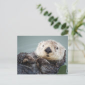 Een zee otter die in het water afkoelt briefkaart (Staand voorkant)