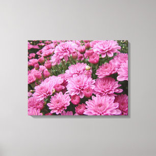 Een Zee roze chrysanthema #2 Canvas Afdruk