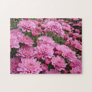 Een Zee roze chrysanthema #2 Legpuzzel