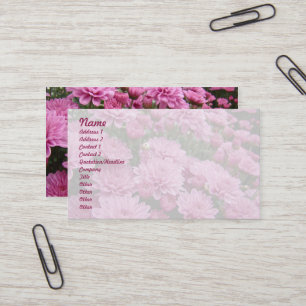 Een Zee roze chrysanthema #2 Visitekaartje