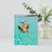 Een zee schedel en een varken briefkaart (Staand voorkant)