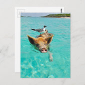 Een zee schedel en een varken briefkaart (Voorkant / Achterkant)