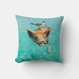 Een zee schedel en een varken kussen