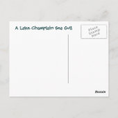 Een Zee van het meer van ChamPlain Briefkaart (Achterkant)