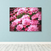 Een Zee van Roze Chrysanthema Canvas Afdruk (Insitu (Houten vloer))