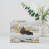 Een zeeen otter rust op een kleine ijsberg briefkaart (Staand voorkant)