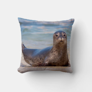 Een zeehond op een strand langs de Pacifische kust Kussen