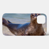 Een zeehond op een strand langs de Stille Oceaan Case-Mate iPhone Case (Achterkant (horizontaal))