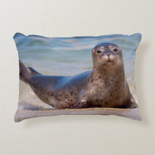 Een zeehond op een strand langs de Stille Oceaan k Accent Kussen