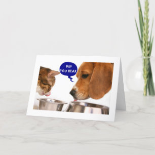 EEN ZEER BIJZONDERE JONGE VROUW IS ***16*** KAART