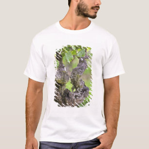 Een zeer oude wijnstok in de wijngaard Clos de l'E T-shirt