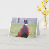 Een zeer Prettige Kaart van de Groeten van de (Gele Bloem)