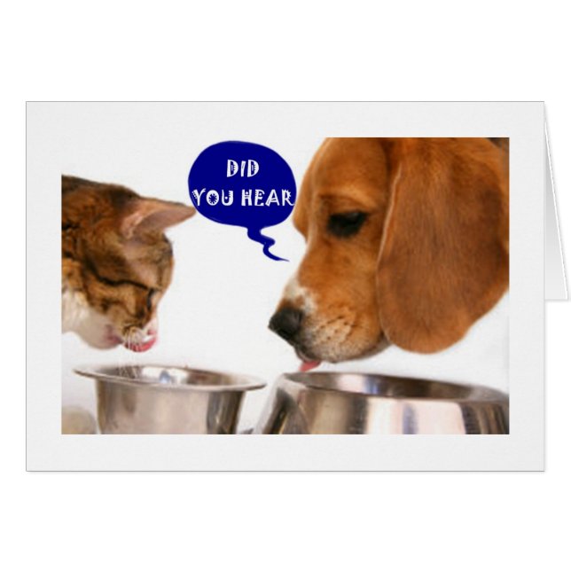 EEN ZEER SPECIALE JONGE VROUW ***21*** (Voorkant Horizontaal)