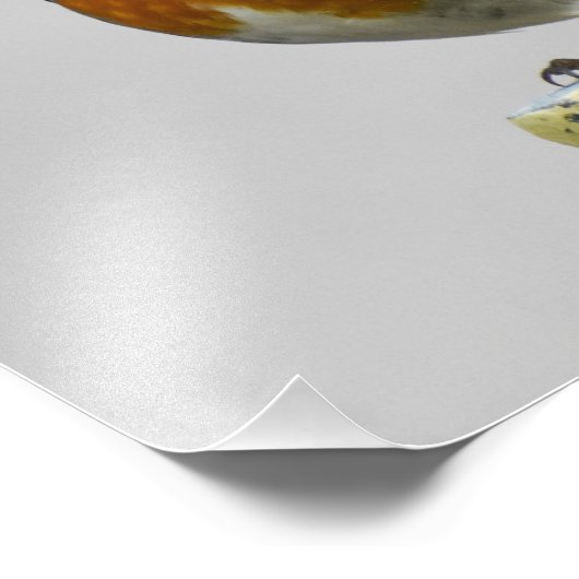 Een zeer stinkende Robin Foto Afdruk (Hoek)