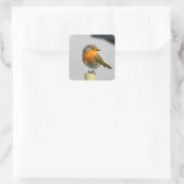 Een zeer stinkende Robin Vierkante Sticker (Tas)