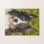 Een zeer vriendschappelijke grenskolonie legpuzzel (Horizontaal)