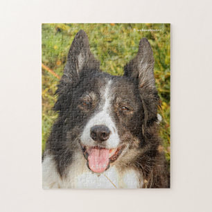 Een zeer vriendschappelijke grenskolonie legpuzzel