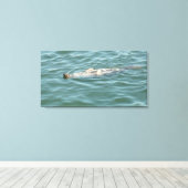 Een zegel drijvend zonneschijn canvas afdruk (Insitu (Houten vloer))