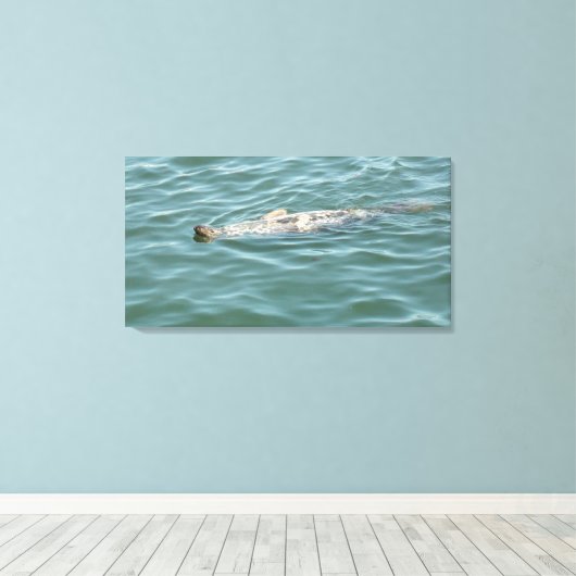 Een zegel drijvend zonneschijn canvas afdruk (Insitu (Houten vloer))